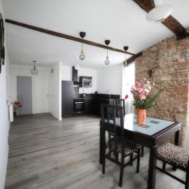 Le pont Saint Roch Logement lumineux avec garage, hotel en Lavaur