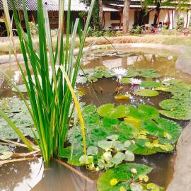 Bundala Resort, hotel in Tissamaharama