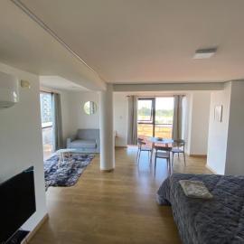 Increible Depto en el Puerto de Santa Fe!, hotell i Santa Fe
