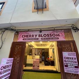 Cherry Blossom, hotel in Varanasi