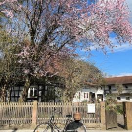 켈 암 라인에 위치한 호텔 Gästezimmer Flora Hanauerland - Kunst & Natur nahe Straßburg