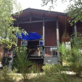 chalet dans la pinède 158 avenue de maubuisson