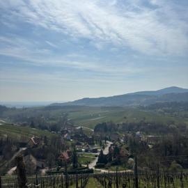 La maison Hansel & Gretel - Vignoble d'Alsace, hotelli kohteessa Bernardvillé