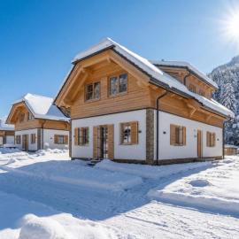 Steier Hütte S