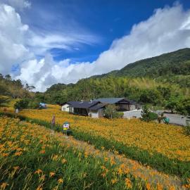 赤科山櫻之谷咖啡民宿, hótel í Chiu-t'ien