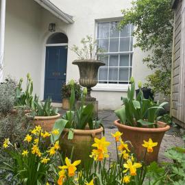 Luxury flat in Totnes, hotel in Totnes