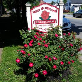 Red Rose Inn Bed and Breakfast