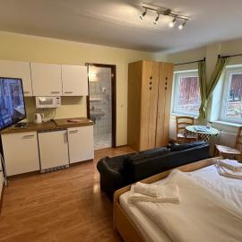 Alpenlodge, Ferienwohnung 10, Hotel in Landl