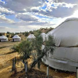 Aydar Eco Yurt Camp, hotel sa Ingichka