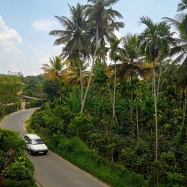 View Paddy Field Home Stay