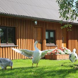 Peaceful Nature Escape Among Farm Animals, Hotel in Jõeküla