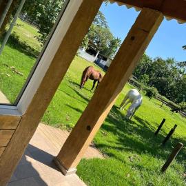 Chalés Haras São Francisco, hotel in Peruíbe