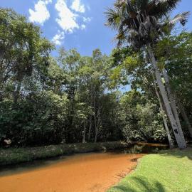 Bosque dos Buritis, hotel a Araguaína
