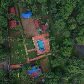 wild paradise jungle homestay, hotel Hankon városában