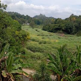 Padiwatte Residencies