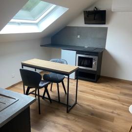 location appartement neuf dans maison
