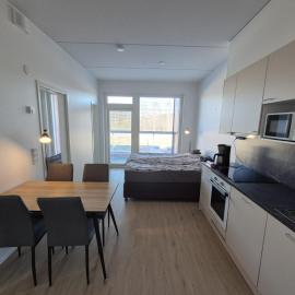 2nd floor, 33m2 1-bedroom app, sauna, close to the shop, airport and train station