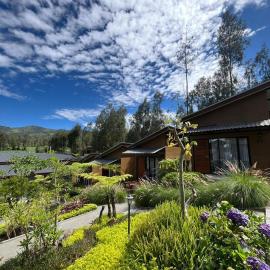 Manis Ae Hotel, Cabin & Resto Bromo, hótel í Ngadisari