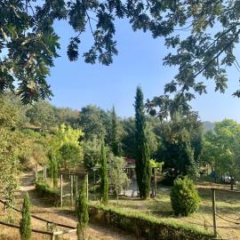 Casa do Cerrado-Country House