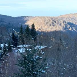 Charmant studio aux pieds des pistes, hotel em Montferrier