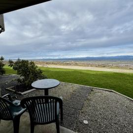Beachfront King Bed Studio Suite