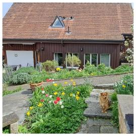 Muttenz में, होटल Zu Hause fern von zu Hause
