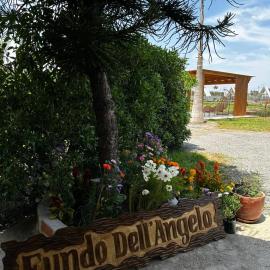 Mala में, होटल Club Positano Fundo Dell'Angelo