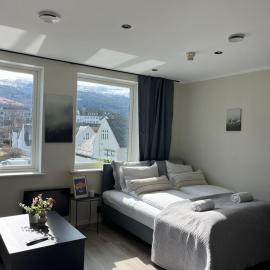 Luxury River View apt - Hotel Vibe - Heart of Voss, hotel a Vossevangen