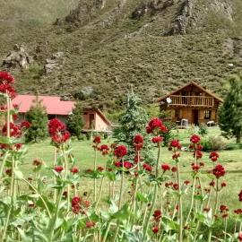 La Araucaria, hotel u gradu Potreriljos