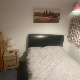 Quiet house beside Stansted and stortford