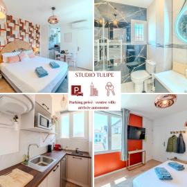 Tulipe Roanne centre-ville - Parking & Clim