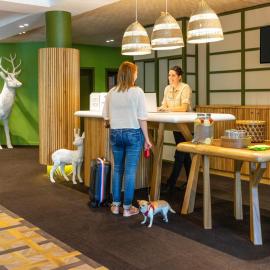 Ibis Styles Arlon Porte du Luxembourg, hotel em Arlon