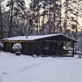 Ferienhaus Waldhütte Ferch, hotel in Schwielowsee