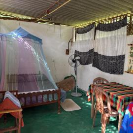 Jungle Room