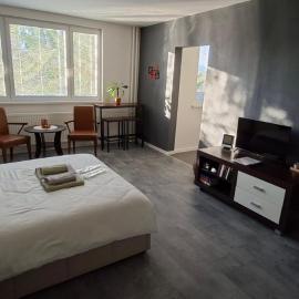 Stylish 1-bedroom apartment for 3 with balcony, free parking & river views in a quiet area