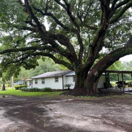 Charming Oak, Hotel in Bon Secour