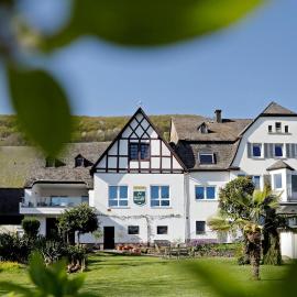 Apartment MOSELGARTEN - Domherren-Suite