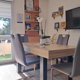 Cosy appartement situé à 500 mètres du centre thermal, hotel in Thonon-les-Bains