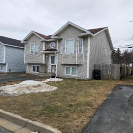 Cozy and Bright 3 Bedroom Haven in St Johns NL