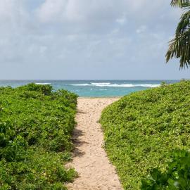 Secluded Sands 5 Min Walk To Secluded Beach, AC