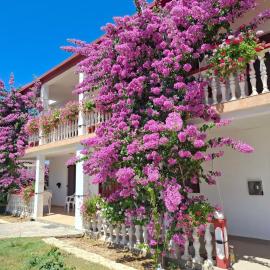 Apartments with parking space Privlaka, Zadar - 12985 – hotel w mieście Privlaka