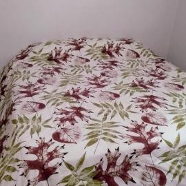 Residencia "Libertad "