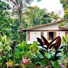 Jungle & Ocean Hideout, Puerto Viejo