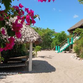 Mida Creek Eco Camp