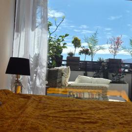 Sunny Terrace Oasis with Mont Blanc View in Central Geneva