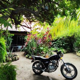 Orlando house, hotel a Buritaca