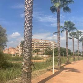 Apartamento junto al mar, hotel in La Estación