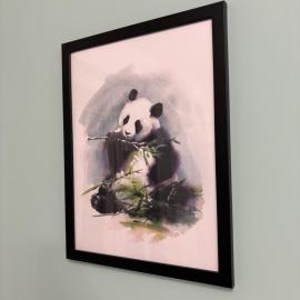 Panda Apartment Plac Solny 4 z klimatyzacją, hotel a Głogów