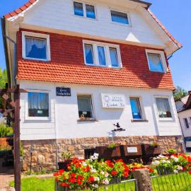 Hotel Elisabeth Ilse, hotel en Braunlage