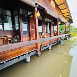 Little Bangkoknoi